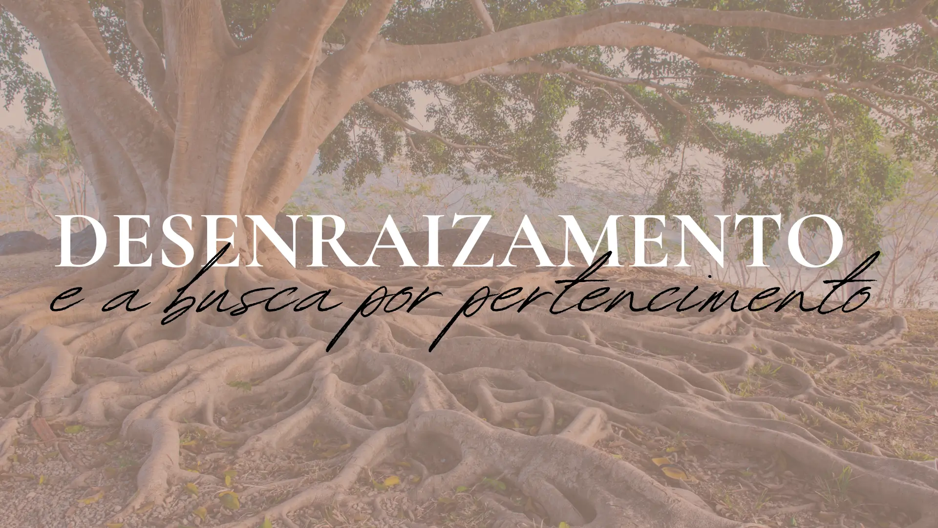 Raízes expostas de uma árvore robusta, simbolizando o desenraizamento emocional e a busca por pertencimento na imigração
